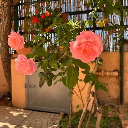 Mela Garden House